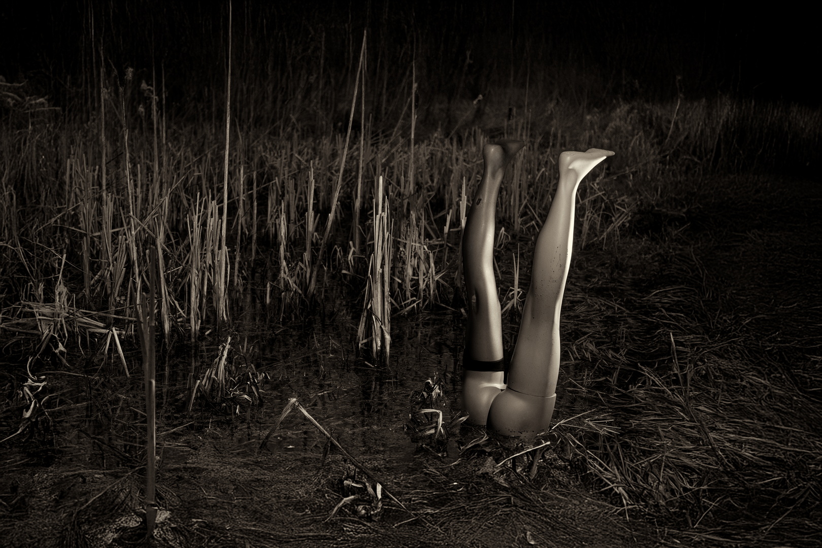 Fine art photograph by Menno van der Meulen titled